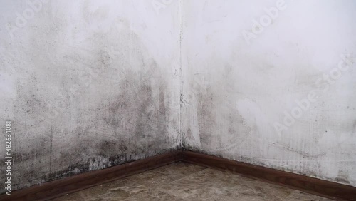 Mold in the house. Black mold on the walls. The apartment is located in a humid, unventilated environment. Black mold has grown on the white walls in the apartment room. Camera Movement stabilizer