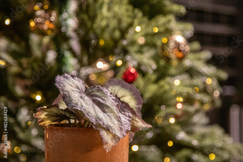 beautiful lighting, 아름다운 조명