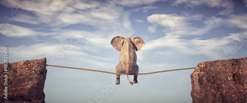 Elephant sitting on slackline rope above a gap between two mountain peaks.