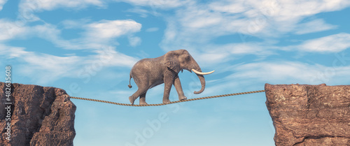 Print op canvas Elephant walks on slackline rope above a gap between two mountain peaks