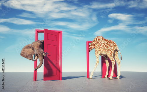 Giraffe entering a door and gets out as an elephant.
