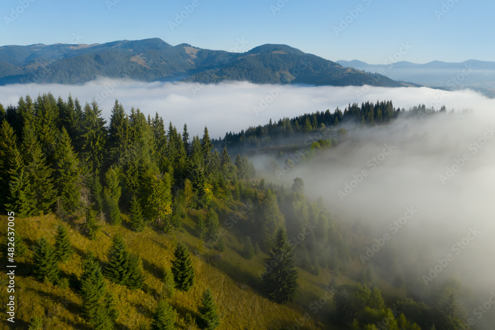 Aerial view of beautiful landscape with misty forest in mountains