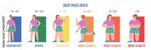 Weight norm and BMI scale infographic, flat vector illustration isolated.