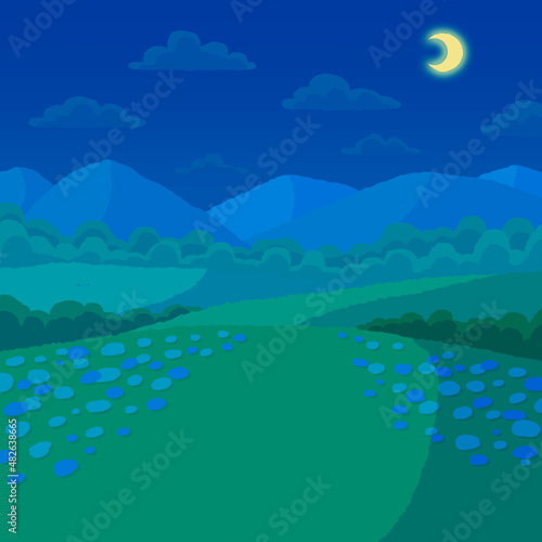 山の見える花畑(夜)