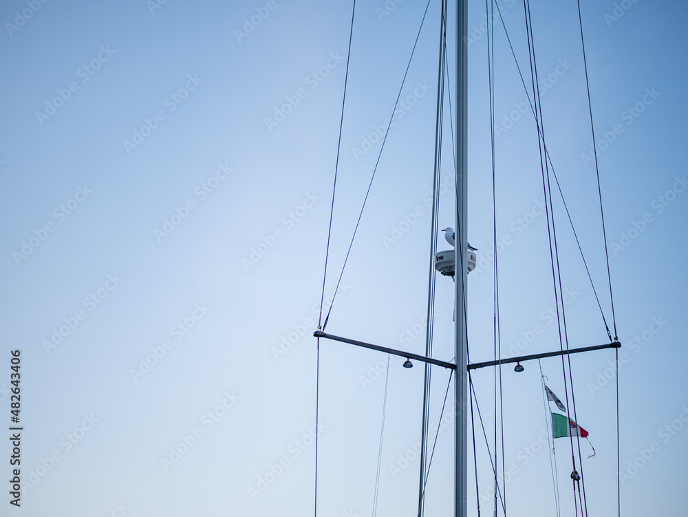 seagull rests on the mast of a boat