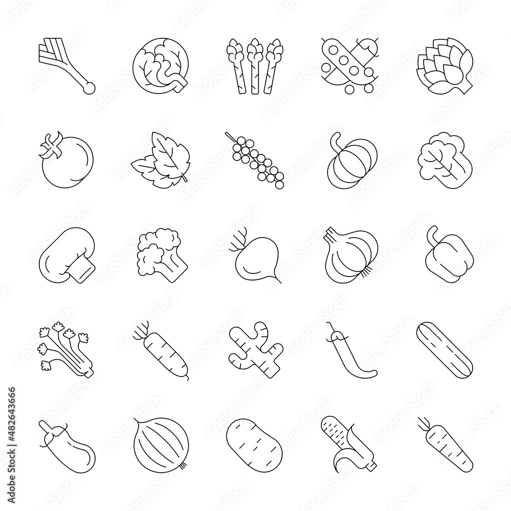 A set of line icons, Vegetable, icons, vector illustration.
A set of line icons, Vegetable, icons, vector illustration.