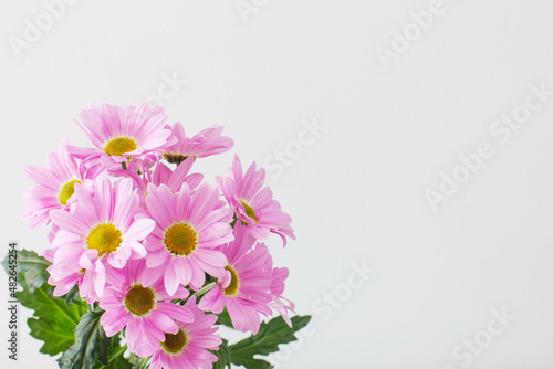 chrysanthemums flowers in bouquet  on white background