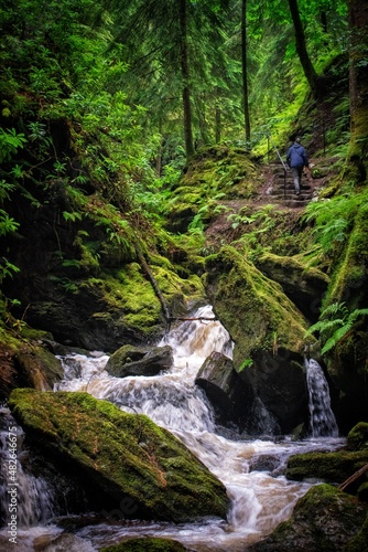 Puck's Glen in the Cowal Peninsula, south-west Scotland photo