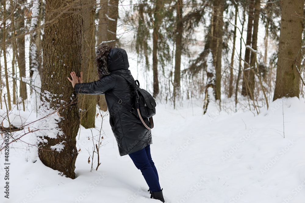 Woman touches the trunk of a pine tree in winter forest. Concept of unity with nature, healing properties of trees