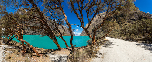 Turquoise waters and trees in the Llanganuco lagoon, in Yungay, Ancash, Peru photo