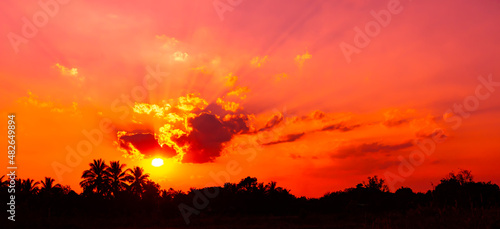 amazing sunset and sunrise.Panorama Tree silhouettes in Africa with sunsets, tree silhouettes against sun, dark tree setting on open field, dramatic sunrise. © Mohwet