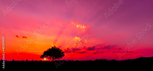 amazing sunset and sunrise.Panorama Tree silhouettes in Africa with sunsets  tree silhouettes against sun  dark tree setting on open field  dramatic sunrise.