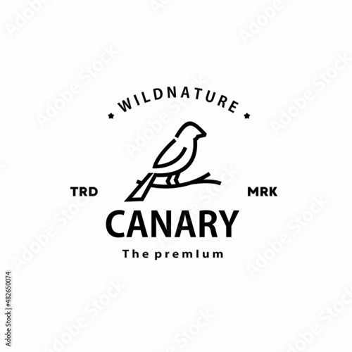 vintage retro hipster canary logo vector outline bird monoline art icon