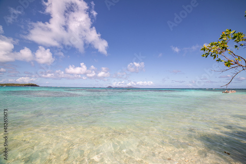 Fototapeta Naklejka Na Ścianę i Meble -  Saint Vincent and the Grenadines, Petit Tabac, Tobago Cays, West Indies