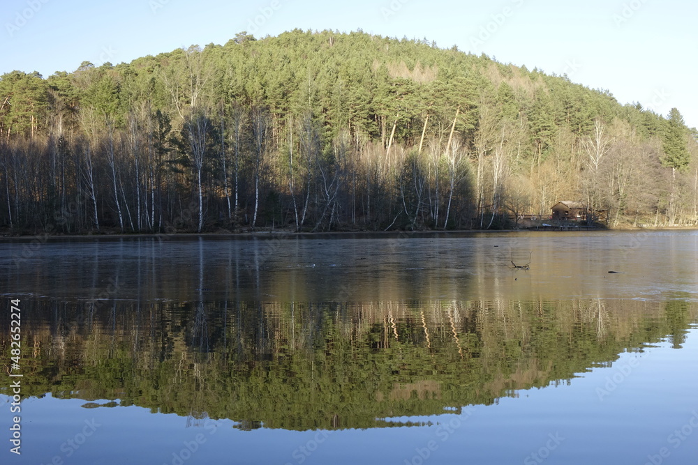 Amazing reflection of hill, fir trees and blue winter sky in clear Lake Gelterswoog in Palatinate Forest (Pfälzer Wald) (horizontal), Hohenecken, Kaiserslautern, Rhineland Palatinate, Germany