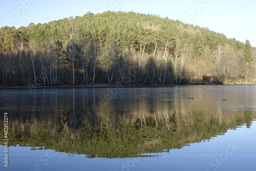 Amazing reflection of hill, fir trees and blue winter sky in clear Lake Gelterswoog in Palatinate Forest (Pfälzer Wald) (horizontal), Hohenecken, Kaiserslautern, Rhineland Palatinate, Germany
