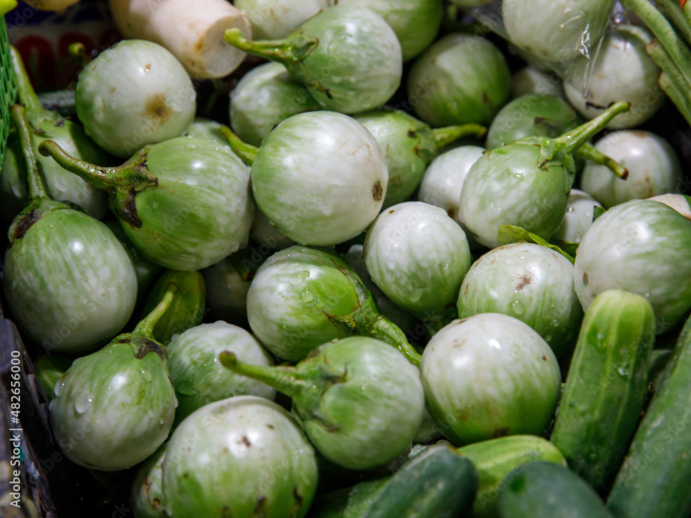 Group of green thai eggplants pure and fresh.Thai eggplants background. Put up for sale in the market. selective focus. Group of green thai eggplants pure and fresh.Thai eggplants background. Put up for sale in the market. selective focus.