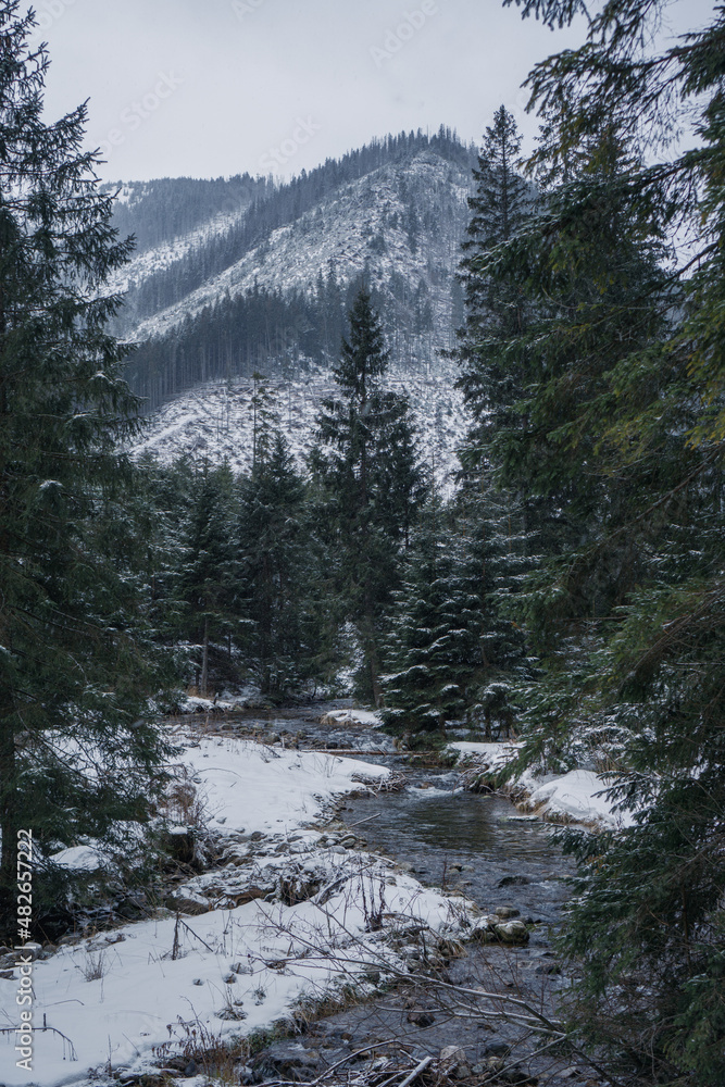 winter in the mountains winter in the mountains