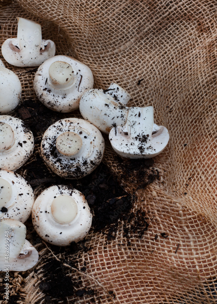 Raw organic White button mushrooms on rustic styled table surface with fresh soil Raw organic White button mushrooms on rustic styled table surface with fresh soil