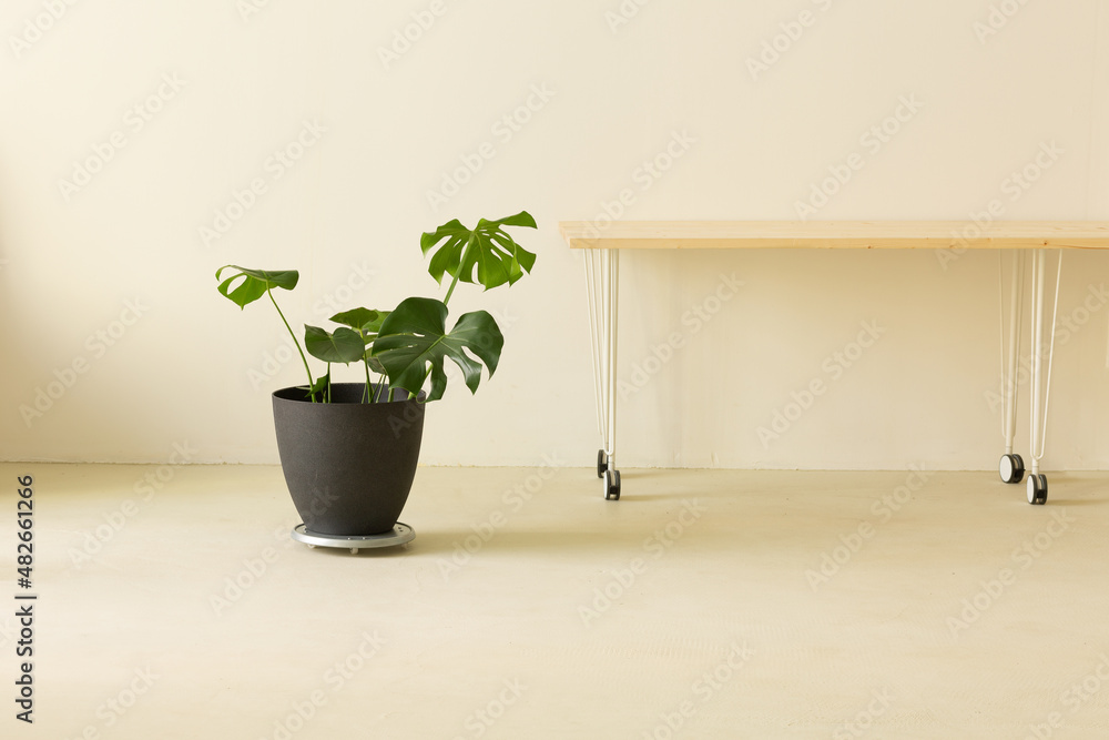 Minimalistic interior in details: wooden table on the wheels and Monstera plant.