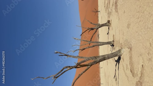 Deadvlei valley, dried lake in desert of Namibia. Sossusvlei dead vlei. photo