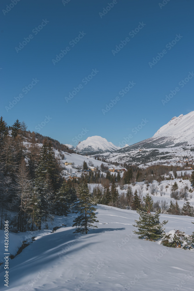 A picturesque landscape view of the French Alps mountains and tall pine trees covered in snow on a cold winter day (the Devoluy valley)