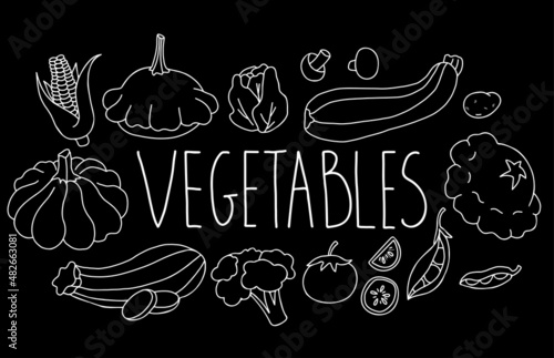 Vector Set of healthy food vegetables. Pumpkin and patisson, zucchini, cabbage, tomatoes and potatoes, mushrooms and corn, peas and cauliflower. Isolated linear chalk hand drawing on black background