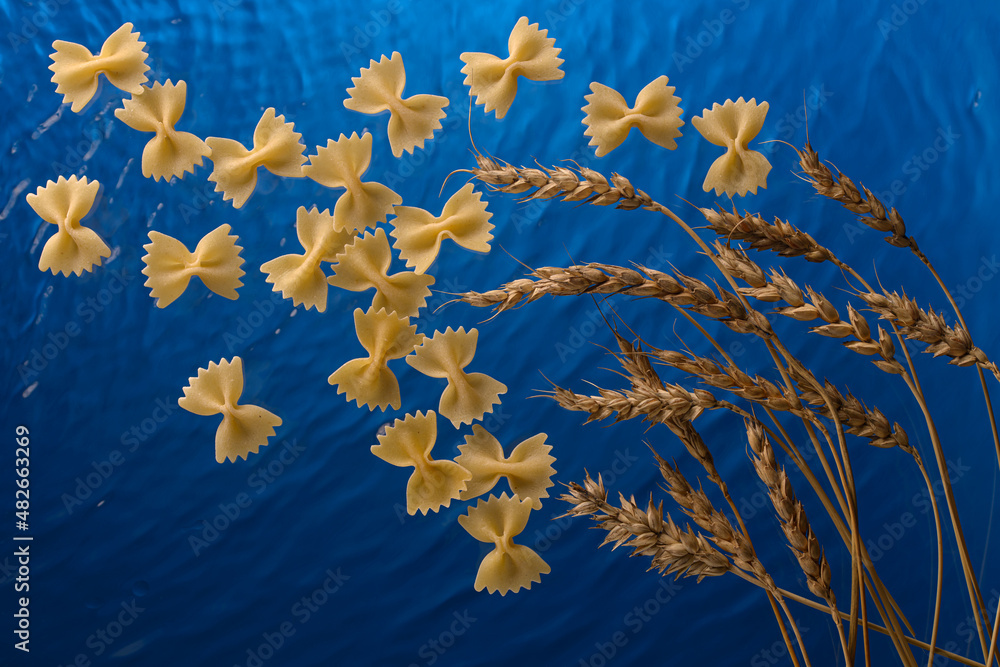 wheat and pasta on blue background wheat and pasta on blue background