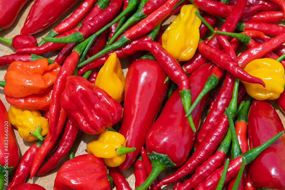 Variety of red, green, orange and yellow hot chili peppers on a wooden table