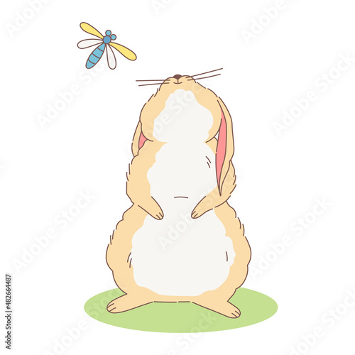 A cute easter rabbit looks up at the sky. Vector illustration of chubby hand drawn bunny with beige fur and white belly. Cartoon style design.
