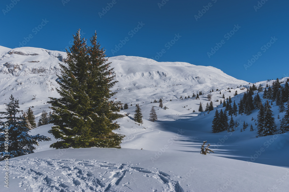 A picturesque landscape view of the snowcapped French Alps mountains with a hiking path in the snow on a cold winter day (Devoluy)