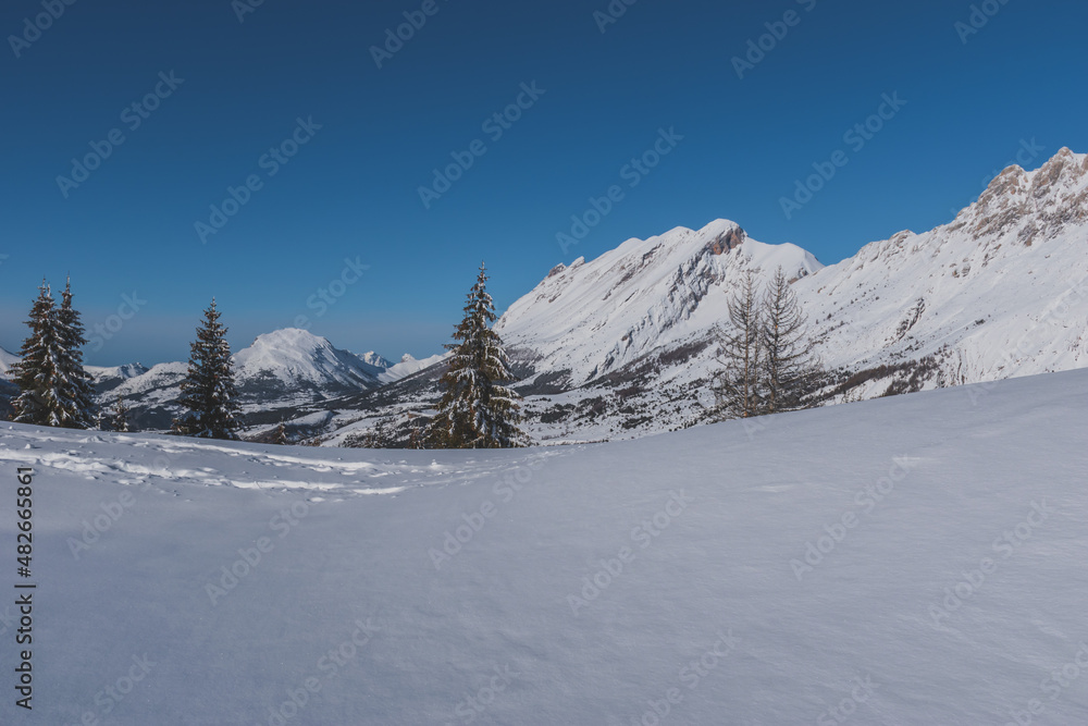 A picturesque landscape view of the French Alps mountains and tall pine trees covered in snow on a cold winter day (the Devoluy valley)