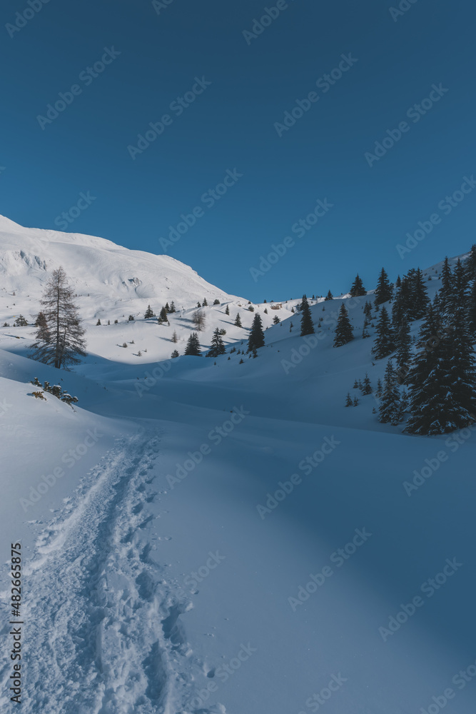 A picturesque landscape view of the snowcapped French Alps mountains with a hiking path in the snow on a cold winter day (Devoluy)