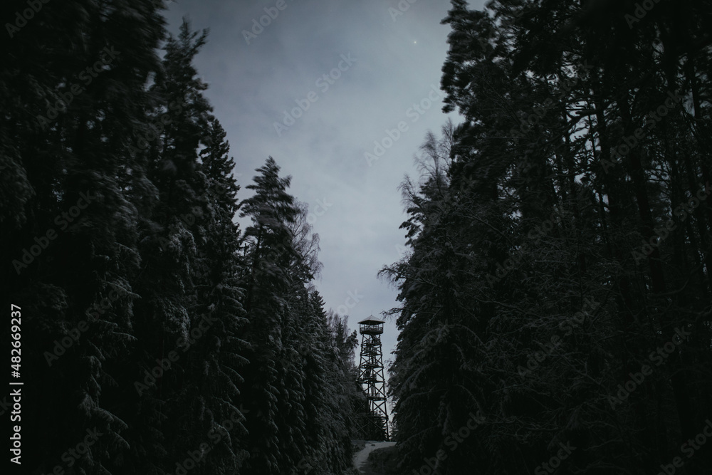 Forest ranger tower in a dark forest at night Stock Photo | Adobe Stock