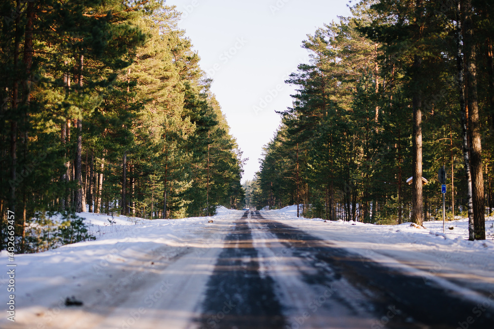 winter road in the forest winter road in the forest