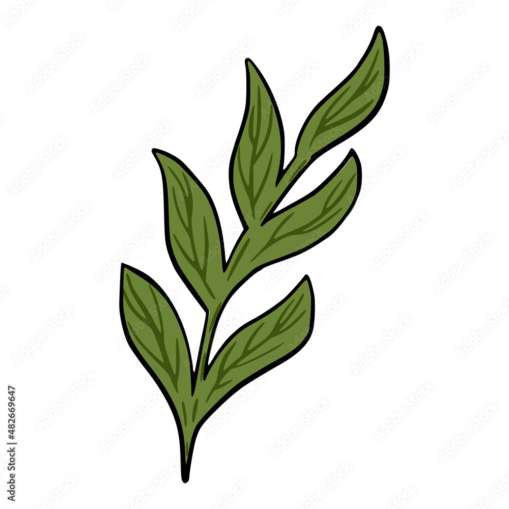 Hand drawn branch with leaves