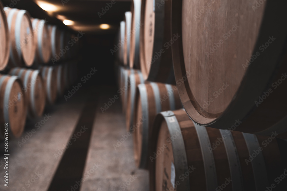 a row of oak barrels for storing and aging wine and alcohol