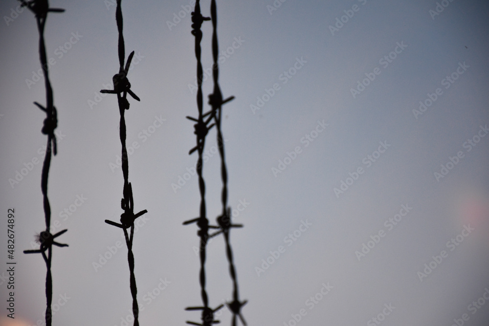 barbed wire on the wall. close-up barbed wire. barbed wire on the wall. close-up barbed wire.