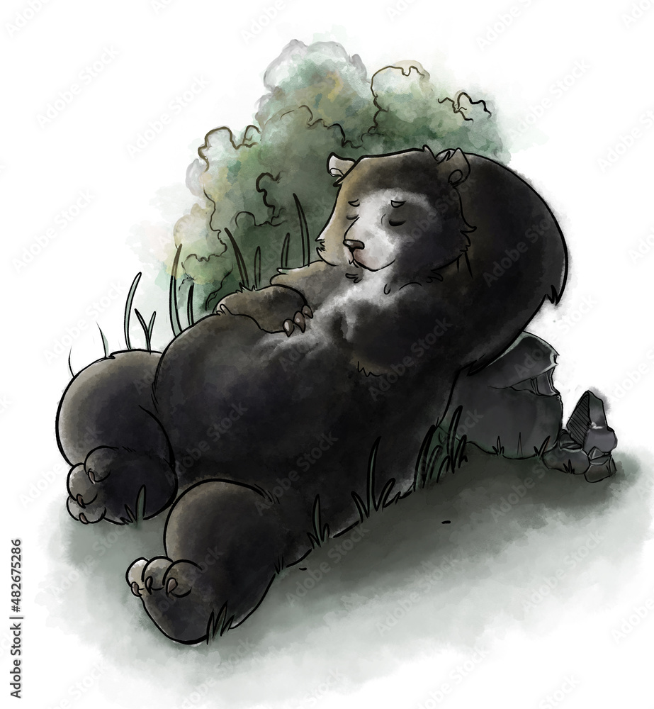 oso durmiendo Stock Illustration Adobe Stock