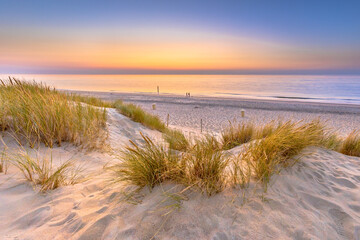 Stickers Plage et Mer Sunset View over ocean from dune in Zeeland  © creativenature.nl