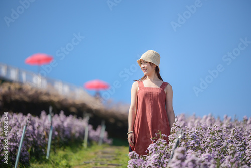 Fototapeta Naklejka Na Ścianę i Meble -  Young happy traveler Asian woman sightseeing on Margaret Aster flowers field in garden at Khao Kho, Thailand, relaxing on vacation concept