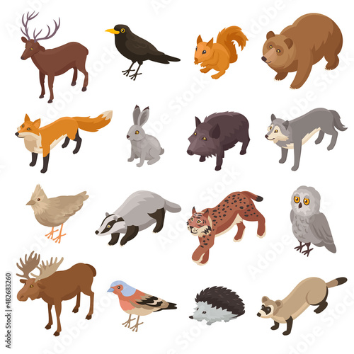 Isometric Forest Animals Set