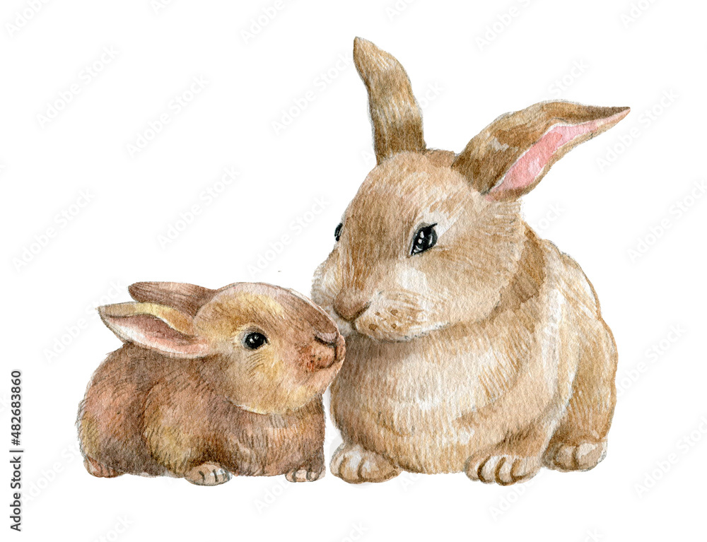 Mother rabbits hot sale