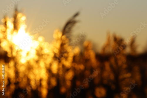Abstract blurred golden sunset background with bokeh effect