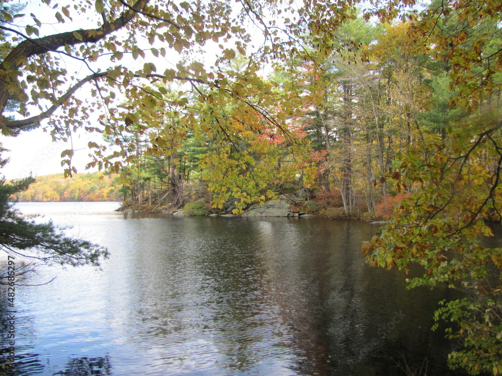 lake in autumn