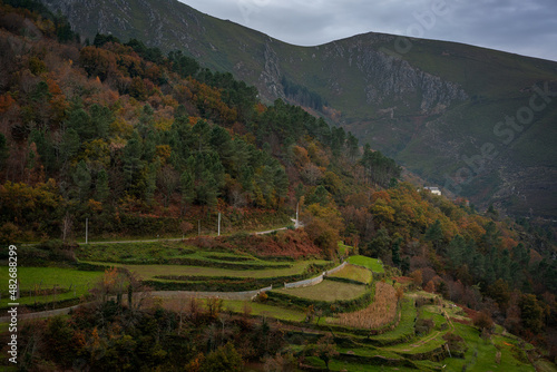 Mondim de Basto landscape with vineyards vines in steps and mountains on the background, in Portugal photo