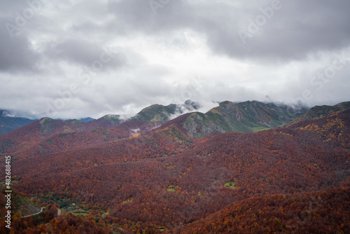 Autumn red trees landscape in Picos de Europa national park, in Spain