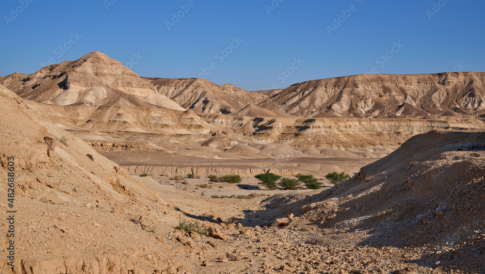 Colorful landscape of a remote mountain desert region. Panoramic view of orange sandy hills and mountain folds with green acacias growing in a dry wadi. The harsh beauty of the desert.