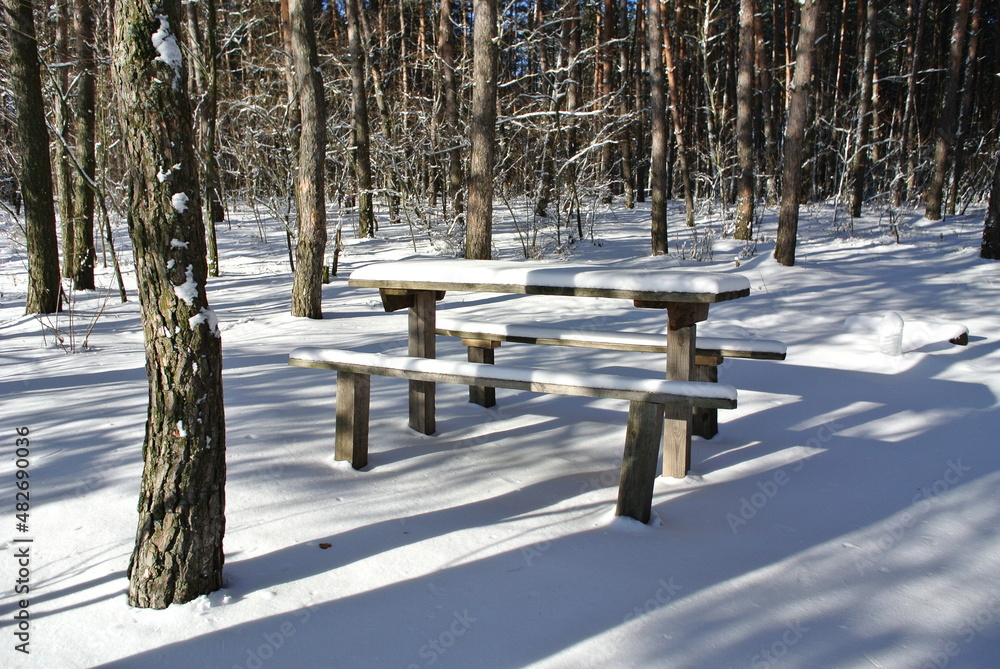 bench in the snow