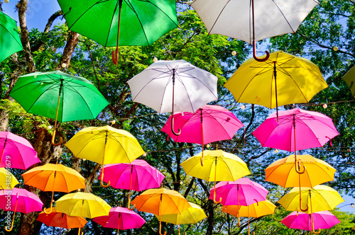 decorative umbrellas hanging high among the trees, in Holambra, Brazil